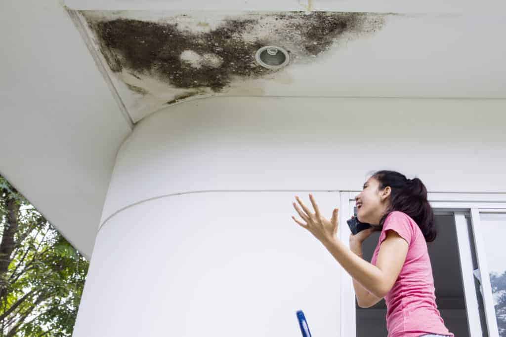 5 Things to Know When You Notice a Roof Leak